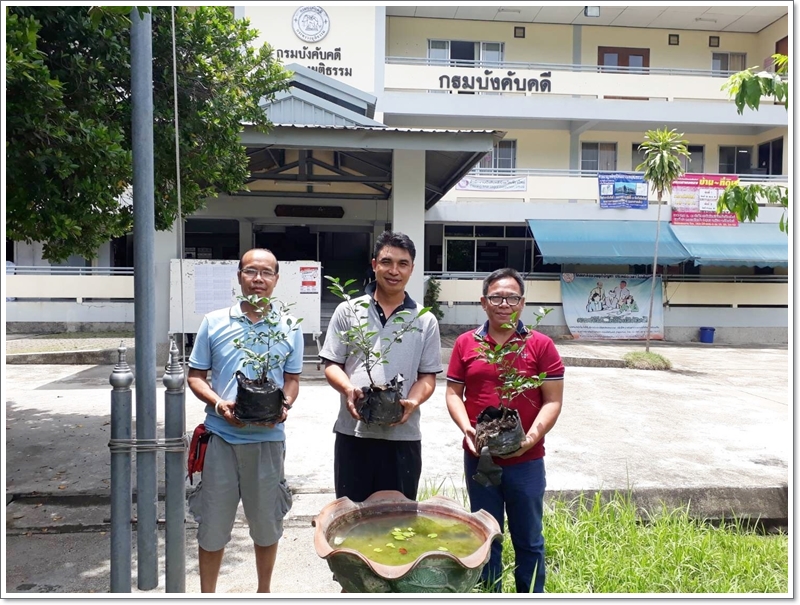 ﻿        กรมบังคับคดีร่วมโครงการประชารัฐร่วมใจ ปลูกต้นไม้ให้แผ่นดิน เนื่องในวันต้นไม้ประจำปีของชาติ ณ จังหวัดเชียงใหม่ อุบลราชธานี และจังหวัดนครศรีธรรมราช